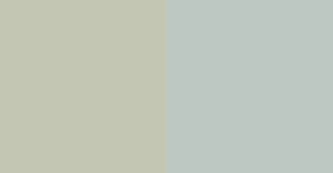 Light-Grey-versus-Light-Bluish-Grey